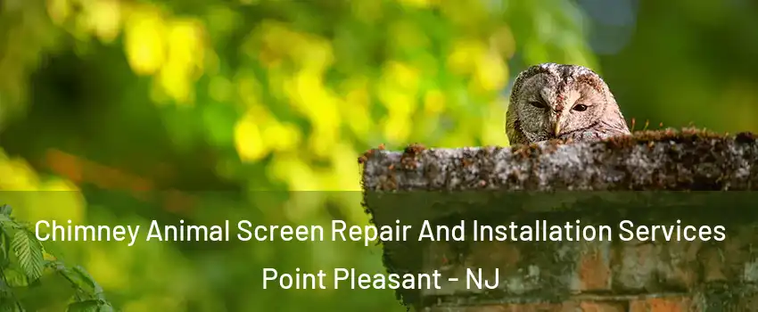  Chimney Animal Screen Repair And Installation Services Point Pleasant - NJ