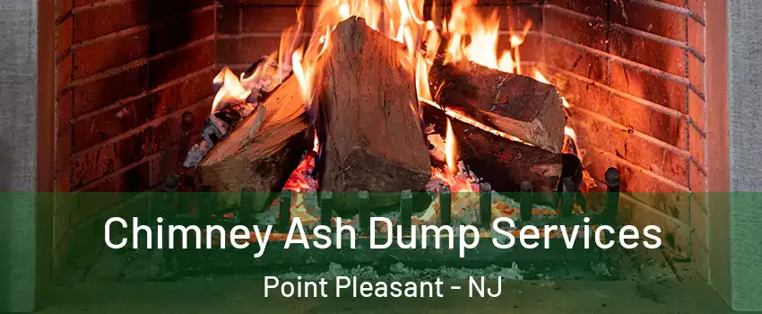  Chimney Ash Dump Services Point Pleasant - NJ