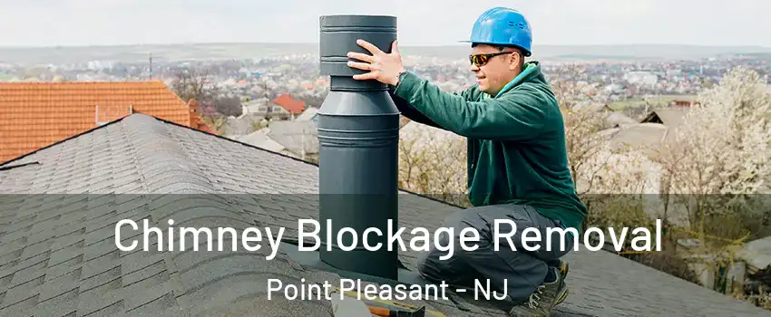  Chimney Blockage Removal Point Pleasant - NJ
