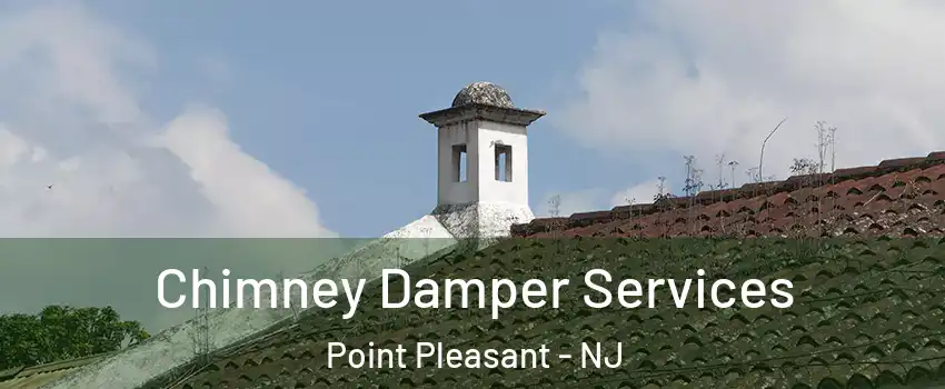  Chimney Damper Services Point Pleasant - NJ