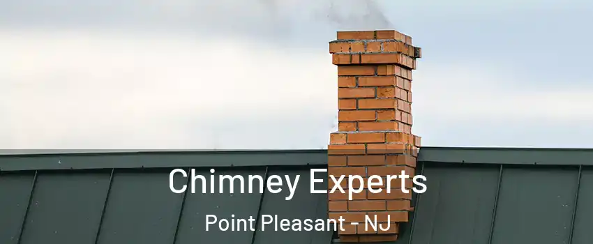  Chimney Experts Point Pleasant - NJ