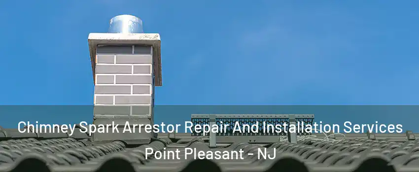  Chimney Spark Arrestor Repair And Installation Services Point Pleasant - NJ