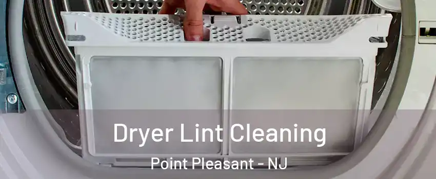  Dryer Lint Cleaning Point Pleasant - NJ