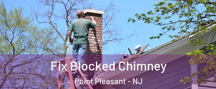  Fix Blocked Chimney Point Pleasant - NJ