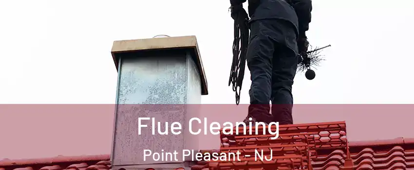  Flue Cleaning Point Pleasant - NJ
