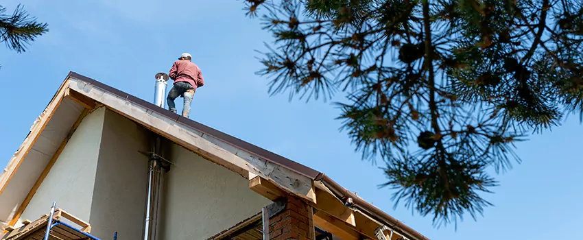 Birds Removal Contractors from Chimney in Point Pleasant, NJ