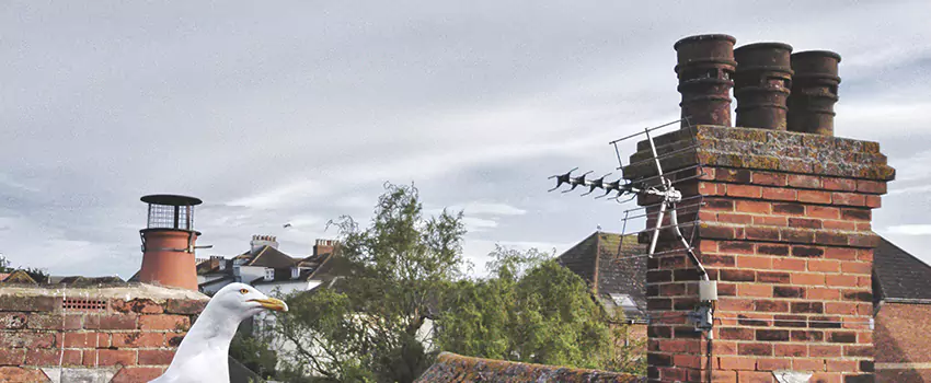 Chimney Cleaning And Restoration in Point Pleasant, New Jersey