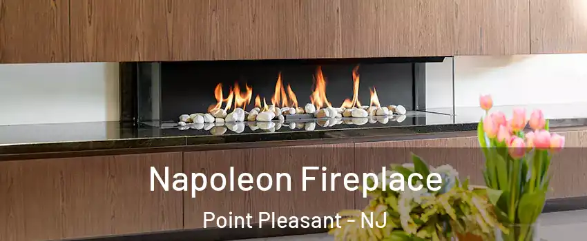  Napoleon Fireplace Point Pleasant - NJ