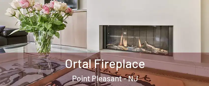  Ortal Fireplace Point Pleasant - NJ